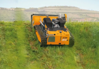 AS-Motor AS 1000 OVIS RC 4