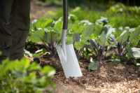 WOLF-Garten Spaten AS-D gallery 2_2nd