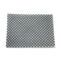 Wilms Grobstaub-Filterpad G 3 für L gallery