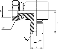 Winkelnippel AG-IG 1/4 BSP