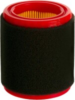 MTD Luftfiltersatz gallery