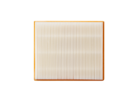 EGO Flachfilter AVF0900 für Nass-/Trockensauger WDV0900