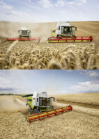 Claas Lexion Montana