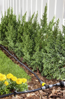 Kärcher T-Stueck mit Reguli gallery 82_2nd