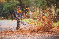 Echo rückentragbarer Laubbl gallery 15_2nd