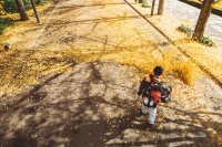 Echo rückentragbarer Laubbläser PB-8010 5