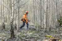 Husqvarna Forstfreischneider 545 gallery 46_2nd