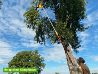 WOLF-Garten Vario-Stiel ZM-V4 (B gallery 8_2nd