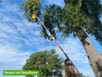 WOLF-Garten Vario-Stiel ZM-V3 gallery 10_2nd