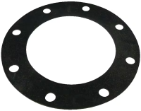 Flanschdichtung 8" 8-loch gallery