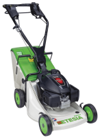 ETESIA Rasenmäher Pro 46 PHTS3 gallery