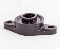 Flanschlager UCFL205 25x130