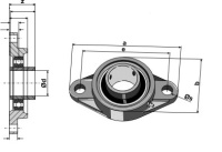 Flanschlager UCFL209 45x188
