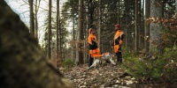 STIHL Bundhose DYNAMIC DuroTec Design A / Klasse 1, Gr. M+6 