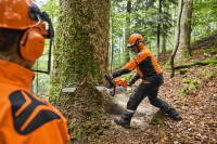 STIHL Motorsäge MS 881, RS, Schienenlänge 63 cm 4
