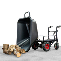 Wematik Elektrische Schubkarre Regina mi gallery