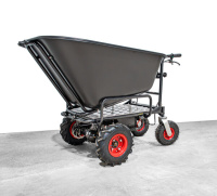 Wematik Elektrische Schubkarre Regina mit Rückwärt