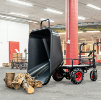 Wematik Elektrische Schubkarre Regina mit Rückwärt