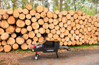 Wematik Turbo Spalter ECO Schwungradspalter 8 Tonnen 5