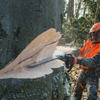 STIHL Motorsäge MS 661 C-M, RH, Schienenlänge...