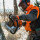 STIHL Motorsäge MS 661 C-M, RH, Schienenlänge 71 cm