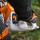 STIHL Motorsäge MS 500i, RS, Schienenlänge 50 cm