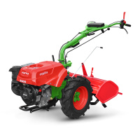 agria Einachser 3400 KL - nur Grundger&a gallery