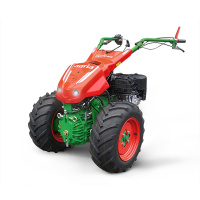 agria Geräteträger 5900 Cyclon gallery