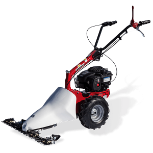 eurosystems Mehrzweckgerät M210 (Honda) - nur Grundger&