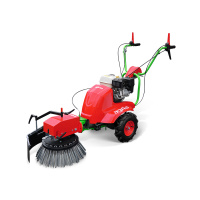 agria Wildkrautbürste 8100 - nur Gr gallery