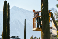 STIHL Smart Connector, 10 St&uum gallery 2_2nd