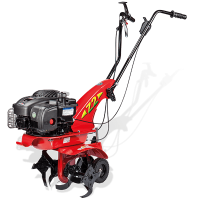 eurosystems Motorhacke Z2 RG (Loncin) gallery