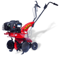 eurosystems Motorhacke Z3 (B&S) - mi gallery