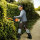 STIHL Heckenschere HS 82 R, 600mm/24"