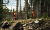 STIHL Bundhose DYNAMIC DuroTEC, Design A / Klasse 2 4
