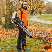 STIHL Blasgerät BR 450 C-EF gallery