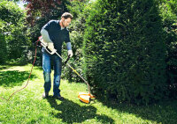 STIHL Elektro-Freischneider FSE 81