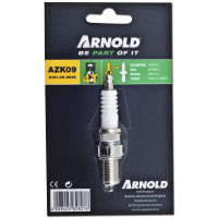 Arnold Zündkerze AZK09 - RN9YC Cham gallery