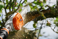 STIHL Akku-Hochentaster HTA 135 - ohne Akku & Ladeger&au