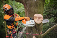 STIHL Akku-Motorsäge MSA 220 T, PS3, Schienenlänge 35 cm