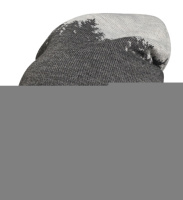 STIHL Beanie FOREST Grau gallery