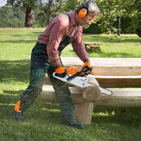 STIHL Motorsäge MS 231 C-BE, PM 3, Schienenlänge 3