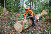 STIHL Sägekette 3/8“ Rapid Hexa 3 (RH3), 1,6 mm, 