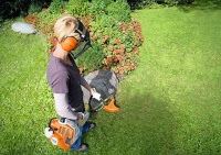 STIHL Freischneider FS 40 gallery