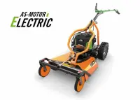 AS-Motor E-Allmäher AS 63 - ohne Akku &...