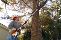 STIHL Akku-Hochentaster HTA 50, mit Akku AK 20 und Ladeger&a