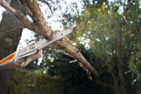 STIHL Akku-Hochentaster HTA 50, mit Akku AK 20 und Ladeger&a