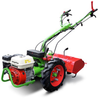 Agria Einachser 3600 (3+2) - Grundger&au gallery