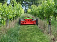 agria Ferngesteuerter Hochgras-Sichelmulcher 9600-112 (Brigg