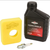 Briggs & Stratton Wartungssatz f&uum gallery